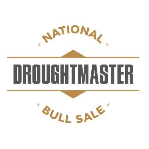 Droughtmaster National Sale