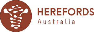 Northern NSW Hereford Youth Camp