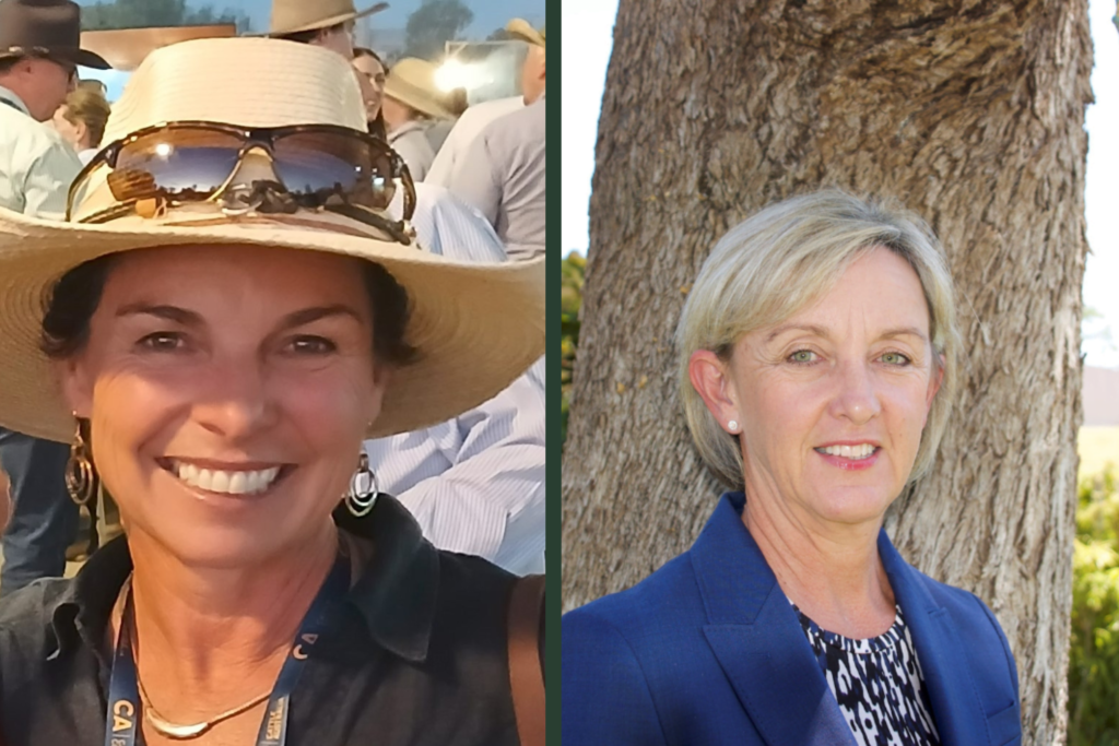 Cattle Australia Board welcomes new directors