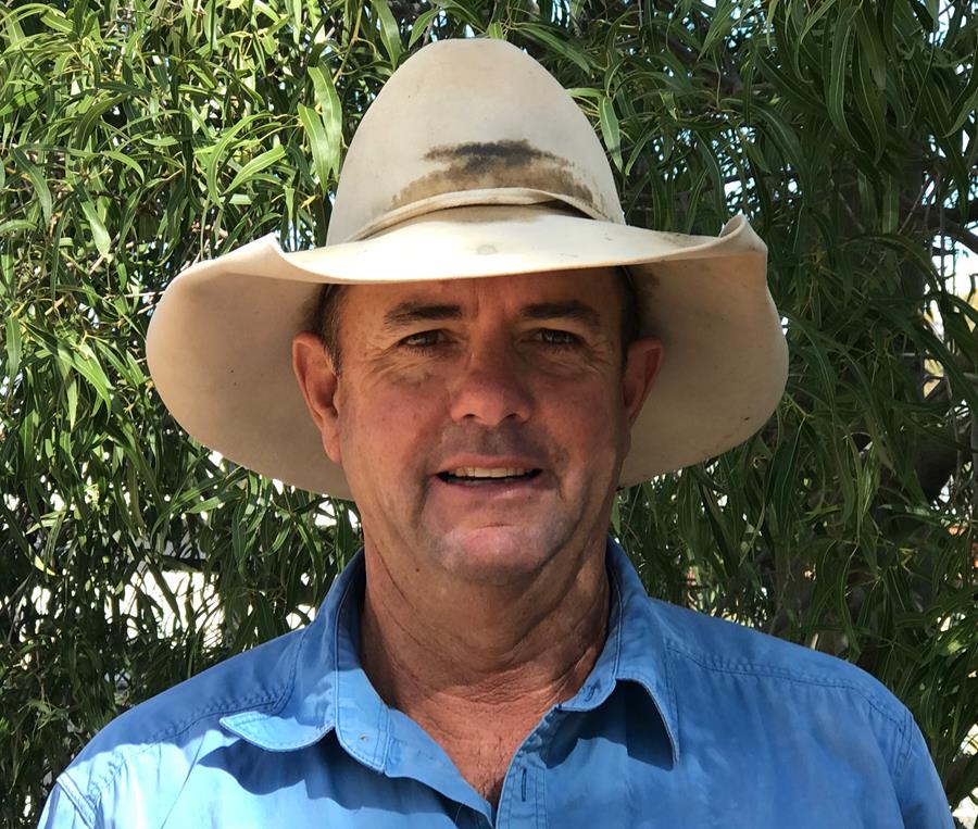 Levy reforms a strong starting point for producers: Review Committee member