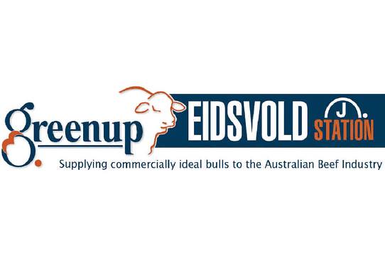 Greenup Eidsvold Station Santa Gertrudis Sale