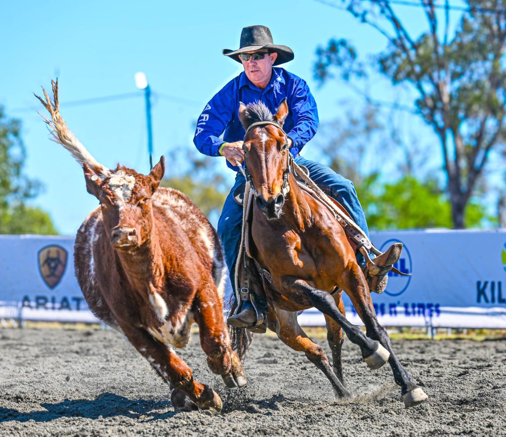 Sign up for Cattle Australia Cup!